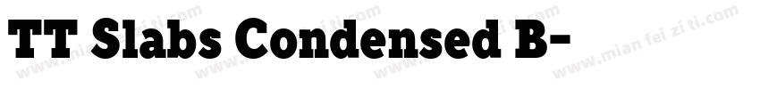 TT Slabs Condensed B字体转换
